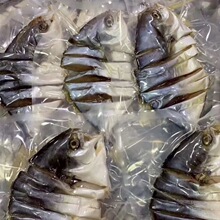 咸魚-咸魚批發、促銷價格、產地貨源 